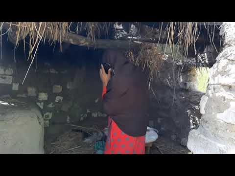 شاهد ما فعله الحاج مسعود في تفاحه شاهد رد فعل تفاحه لن تصدق ما فعله مسعود بها