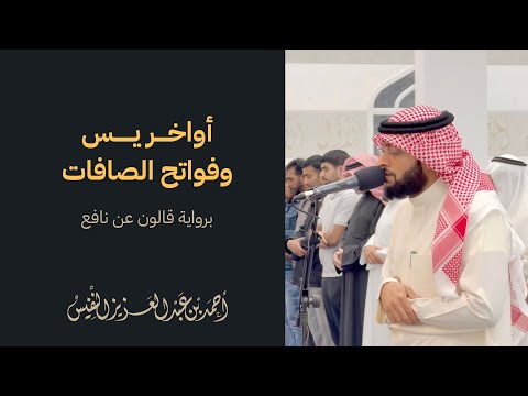 ترتيل اليمن السعيد برواية قالون عن نافع أواخر يس وفواتح الصافات