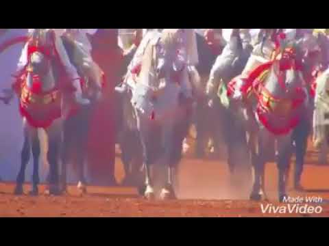 عود العلم دايزو الكلم تبارك الله على الزرك