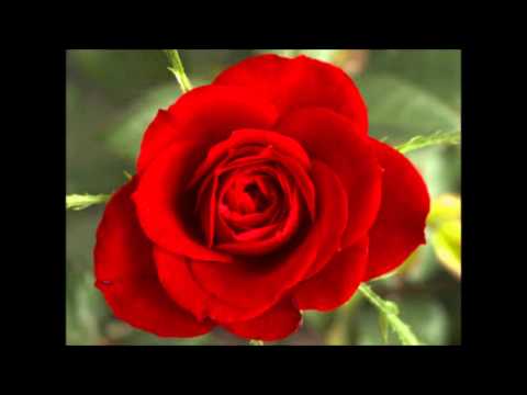 Darsa Ya Ndoa Abu Muwsaa