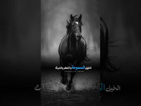 الشيخ حمزة المجالي اكسبلور حالات واتس كلام من ذهب الشيخ حمزة المجالي اكسبلور حالات واتس كلام من ذهب