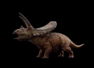  Torosaurus Sound Effects