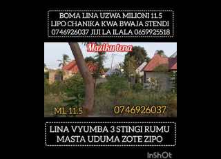 BOMA LINA UZWA MILIONI 11 5 LIPO CHANIKA KWA BWAJA STENDI JIJI LA ILALA WOTE MNAKALIBISHWA