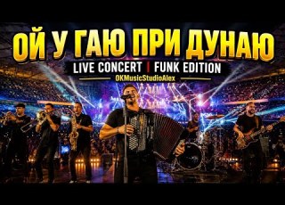 Ой у гаю при Дунаю Funk Edition Наче живий стадіон OKMusicStudioAlex