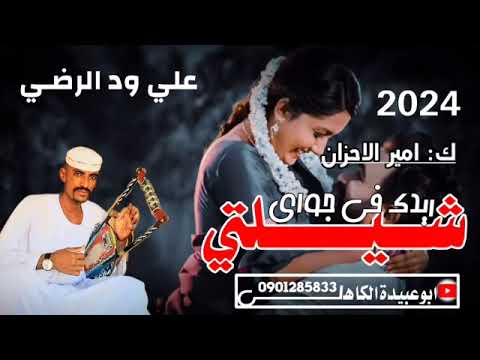 جديد الفنان علي ودالرضي 2024 شيلتي ريدك في جواي كلمات امير الاحزان نااار فراق عزاب