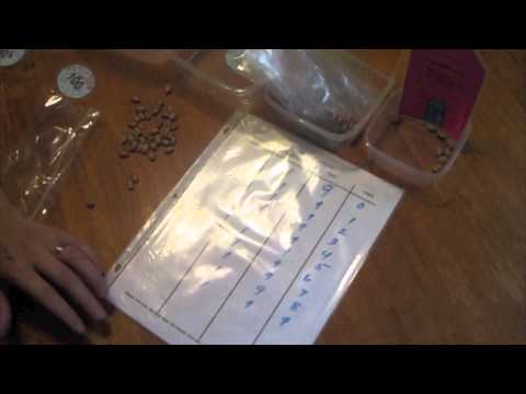 Instructional Video Place Value Village