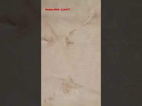 الملك بطليموس الثالث متحف سوهاج القومي