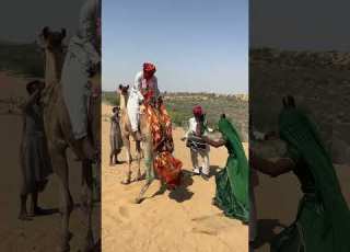 أفراح البادية ة الطبول الساحرة وتجمع الأهل في أجمل زفاف قروي
