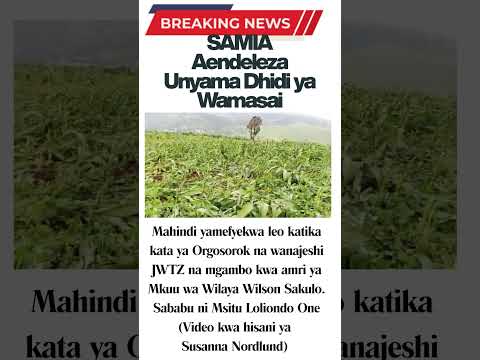 UKATILI MKUBWA SAMIA Aendeleza Unyama Dhidi Ya Wamasai Mashamba Ya Mahindi Yateketezwa LOLIONDO UKATILI MKUBWA SAMIA Aendeleza Unyama Dhidi Ya Wamasai Mashamba Ya Mahindi Yateketezwa LOLIONDO