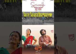 Once You Hear It You Re Hooked Allu Arjun Rashmika Sukumar DSP Sid Sriram Chandrabose