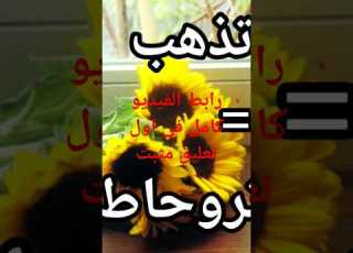 فيديو مهم لكل من يحب تعلم القبائلية والأمازيغة