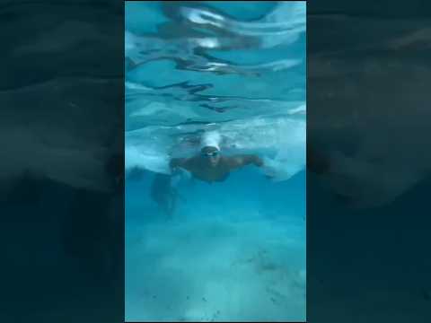 انا فايف ستار علي كوكبي Viral Foryou Subscribe Explore Music Song اعتني ترند اكسبلور البحر