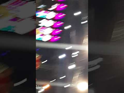 منوعات اغاني لفرقة فري بيبي فى محافظة السويس