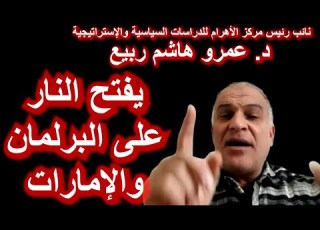  د عمرو هاشم ربيع الانتخابات زائفة والدور الإماراتي مشبوه