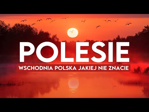 Polesie By Bike Along The Border Of Ukraine And Belarus In Search Of Sundews And Pond Tur