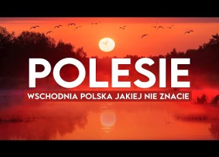  Polesie By Bike Along The Border Of Ukraine And Belarus In Search Of Sundews And Pond Tur