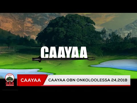 Caayaa