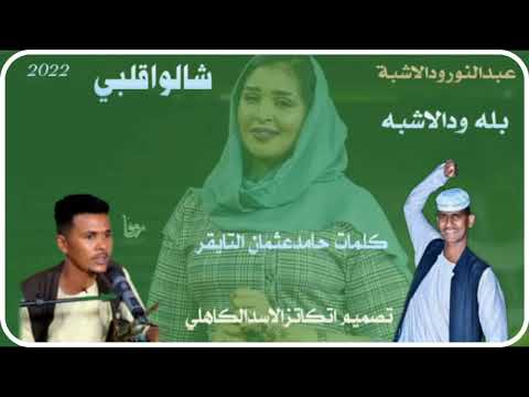 الفنان بله ودالاشبة 2022جديد