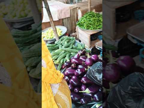 Ajlikhin Kennela Illa Kiri Marchaji