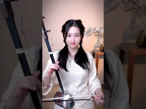 Erhu Sleepless Tonight 今夜无眠