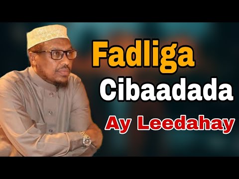 Fadliga Cibaadada Iyo Faaidada Maalinka Qiyaame Sheikh Mustafe Xaaji Harun Wacdi Fadliga Cibaadada Iyo Faaidada Maalinka Qiyaame Sheikh Mustafe Xaaji Harun Wacdi