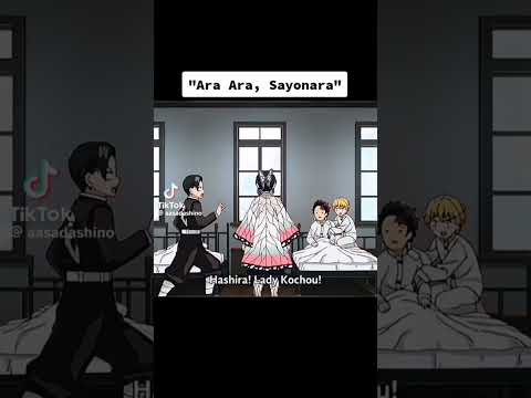 Ara Ara Sayonara Shinobu Hashiras