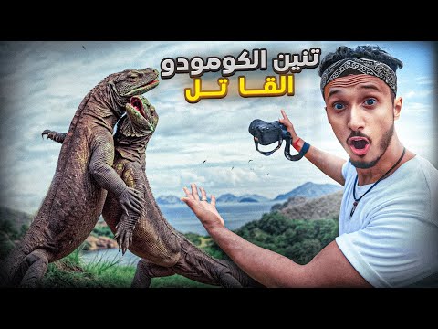 دخلت لجزيرة تنين الكومودو المخيف أكبر سحلية في العالم