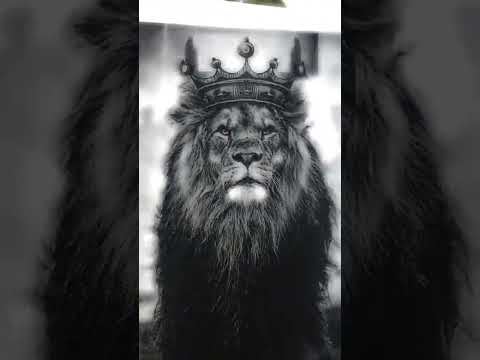 نخوف الخوف نموت الموت حالات واتس اب قصيرة جديدة