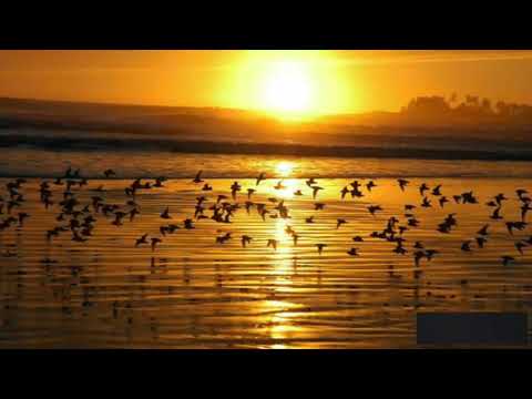 عيون في الغربــه بكايــة