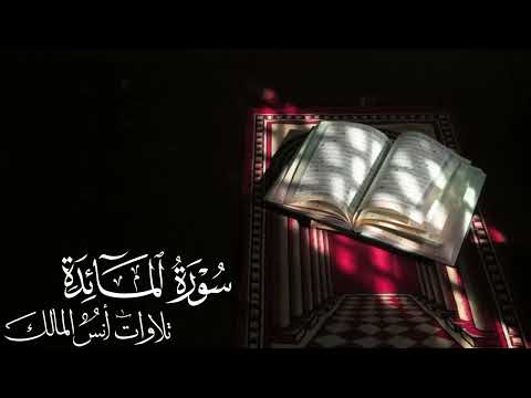 تلاوة سورة المائدة للقارئ أنس المالك من ليالي رمضان لعام ١٤٤٣