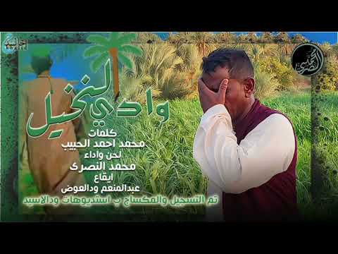 محمدالنصري وادي النخيل