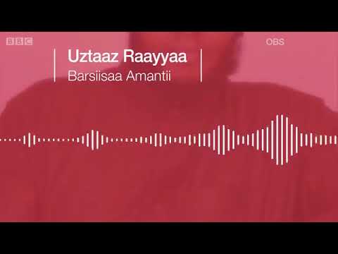 Gaaffiif Deebii Ustaaz Raayyaa Abbaa Maccaa BBC Waliin