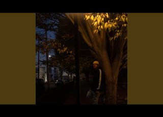  Firefly Feelings Freestyle