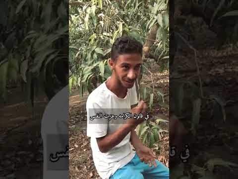 Shorts نصيحه اب
