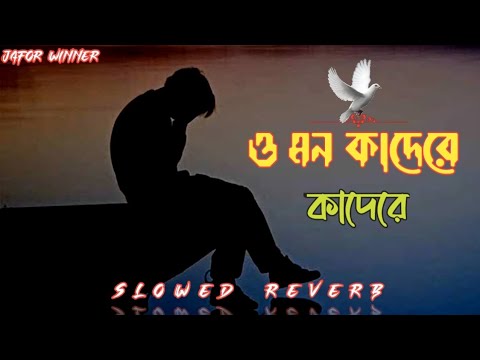 ও মন ক দ র ক দ র O Mon Kadire Kadire Bangla Old Song Coaster Lofi Slowed Reverb Lofi 2024