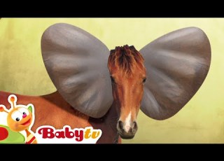 Elephant Riddle Games With Animals BabyTV