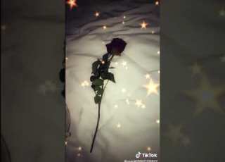 شكد حلوة إن شالله دوم عليج الي ما فهم يروح على الوصف