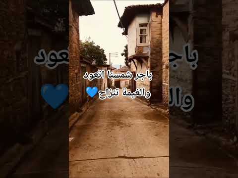 طلعو الغنية من راسي باجر شمسنا تعود والغيمة تنراح حاتم العراقي واتباد طلعو الغنية من راسي باجر شمسنا تعود والغيمة تنراح حاتم العراقي واتباد