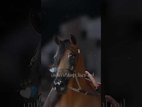 فانت اجمل ما خلق ربي وانت اجمل ما رأت عيني لايك Funny اشتراك اكشن