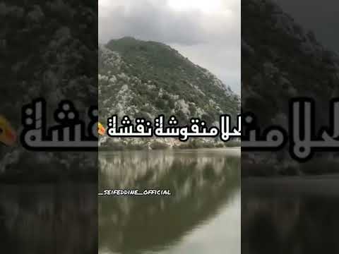 بقولوا عمرك ١٦ وبعدك عالحب صغيرة وليد سركيس دبكة حالات واتساب بقولوا عمرك ١٦ وبعدك عالحب صغيرة وليد سركيس دبكة حالات واتساب