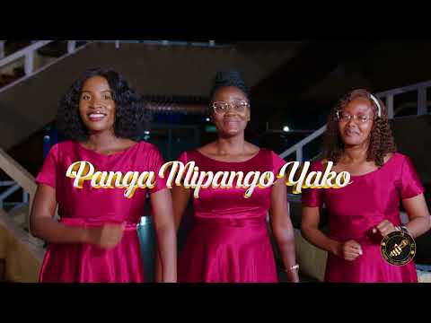 PANGA MIPANGO YAKO MSANII MUSIC GROUP