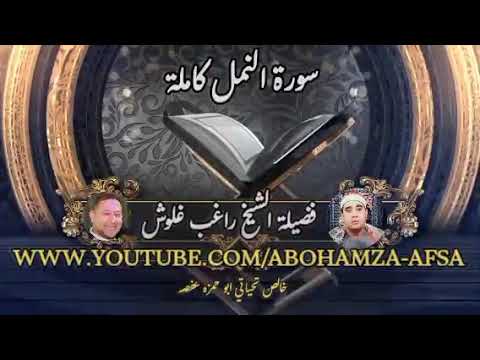 الشيخ راغب غلوش لاول مره سورة النمل كامله مجمعه من تلاوات الفجر الشيخ راغب غلوش لاول مره سورة النمل كامله مجمعه من تلاوات الفجر