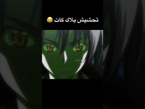 تحشيش انمي القط الاسود تحشيش انمي ون بيس عمك