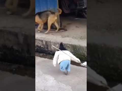 بعض الناس ماتمشي الا بالعصا