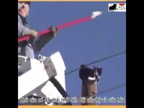 أكبر خازوق ممكن تشوفه بحياتك