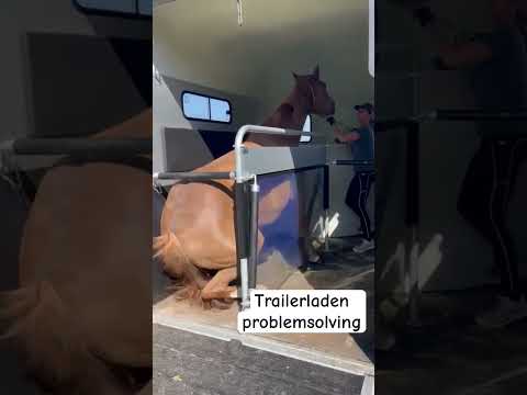 Trailer Laden Oplossing Op Mijn Kanaal Lovemysubscribers Horsetrainer Paard Horsemanship