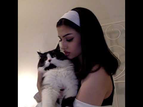 فيصل عبدالكريم عشق بطيء