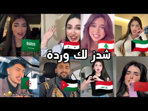 صافن شدزلك وردة كوتو موتو اغاني مطلوبة ترند التيكتوك