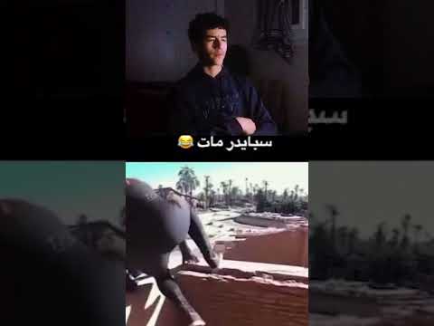 ايه ده ميمز