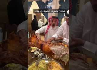 New Arabian Camel Party Shortvideo Shorts